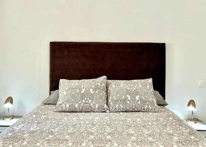 Optimist 플라야데라스아메리카스